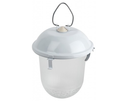 [ЭРА Светильники ЖКХ] ЭРА Б0052017 Светильник НСП 02-100-001 без решетки Желудь сталь / стекло IP54 E27 max 100Вт 260х170 белый 