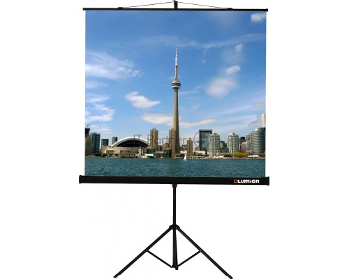 Экран на штативе Lumien Eco View 180x180см (раб.область 174х174 см) Matte White с возможностью настенного крепления 1:1