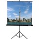 Экран на штативе Lumien Eco View 180x180см (раб.область 174х174 см) Matte White с возможностью настенного крепления 1:1