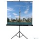 Экран на штативе Lumien Eco View 180x180см (раб.область 174х174 см) Matte White с возможностью настенного крепления 1:1