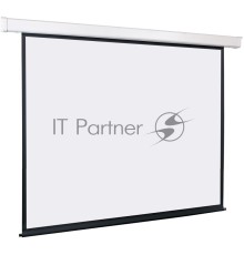 Экран с электроприводом Lumien Eco Control 229x305 см (раб. область 221х297 см) Matte White черная кайма по периметру 4:3