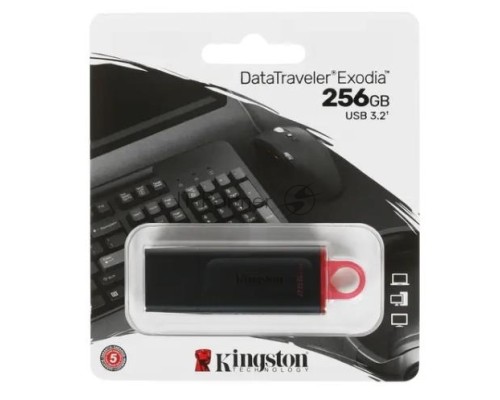 Флеш диск KINGSTON 256GB USB3.2 Gen1 DataTraveler Exodia (Black + Pink)