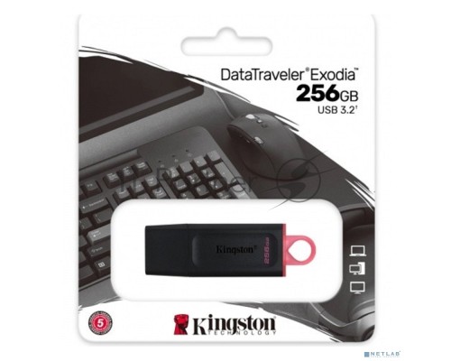 Флеш диск KINGSTON 256GB USB3.2 Gen1 DataTraveler Exodia (Black + Pink)