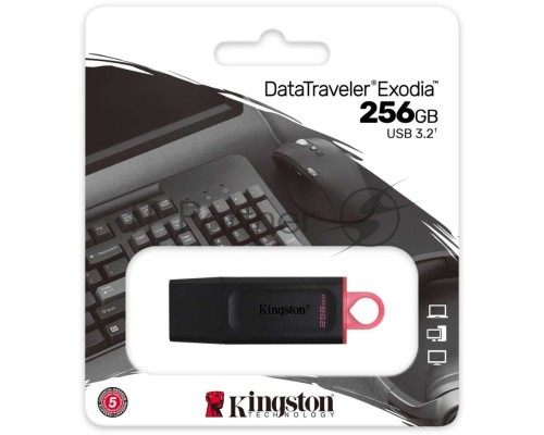 Флеш диск KINGSTON 256GB USB3.2 Gen1 DataTraveler Exodia (Black + Pink)