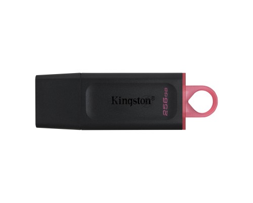 Флеш диск KINGSTON 256GB USB3.2 Gen1 DataTraveler Exodia (Black + Pink)