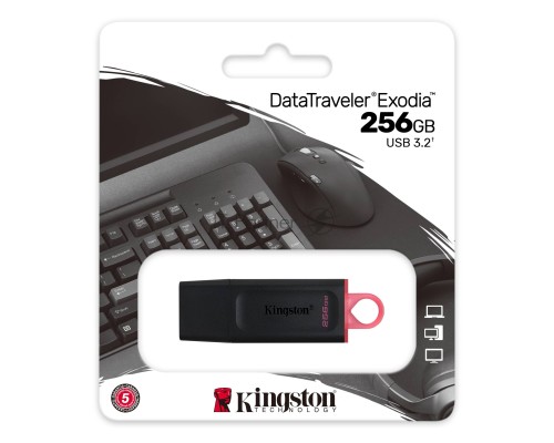 Флеш диск KINGSTON 256GB USB3.2 Gen1 DataTraveler Exodia (Black + Pink)