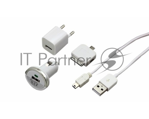 Комплект СЗУ, АЗУ, кабель miniUSB-USB, переходник microUSB 30 pin белый