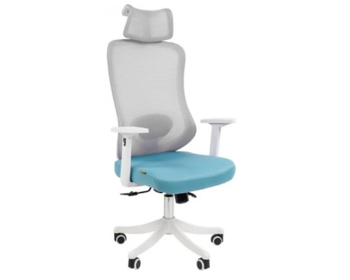 [Офисные кресла] Офисное кресло Chairman CH563 белый пластик, бирюзовый (7146050)