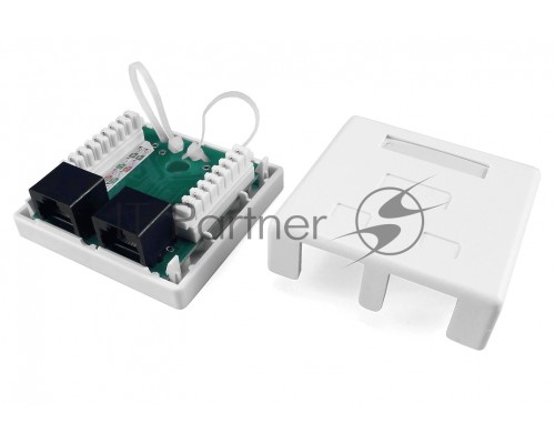 Розетка компьютерная RJ-45(8P8C) Hyperline, категория 5e, двойная, внешняя, Dual IDC