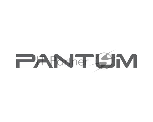 Картридж лазерный Pantum TL-5120 черный (3000стр.) для Pantum Series BP5100/BM5100