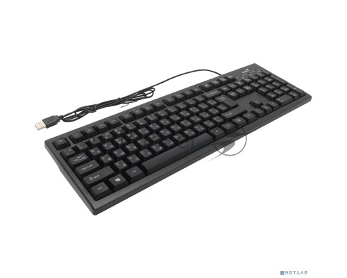 Клавиатура Wired multimedia keyboard Genius SmartKB-100, USB, 104 buttons +  SmartGenius button, 12 programable keys , App support, classic form , cable 1.5 m. , black color