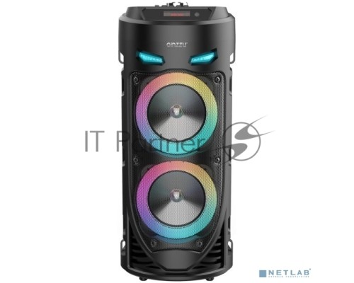 Музыкальный центр Ginzzu GM-220 {(V5.0), 24Вт, 150Гц- 18кГц, USB-flash, microSD-card, FM-радио, пульт ДУ,  батарея 3,6В/2400мАч, эквалайзер}
