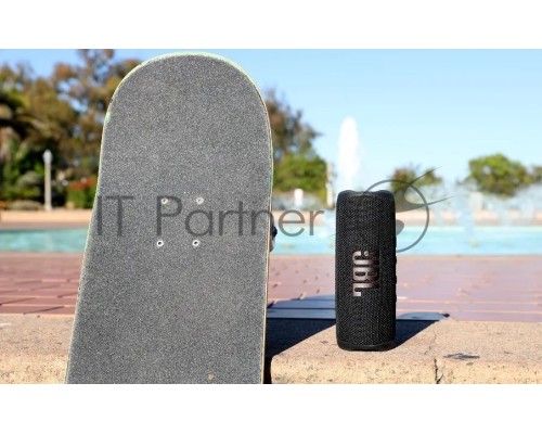 Акустическая система 1.0 BLUETOOTH FLIP 6 BLACK JBL