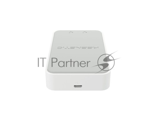 USB-адаптер Keenetic Linear (KN-3110)для двух аналоговых телефонов