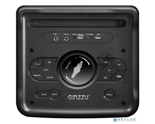 Акустическая система Midi, TWS/BT/USB/TF/FM/ДУ GM-205