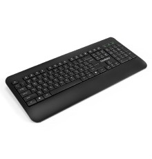 Exegate EX296922RUS Клавиатура ExeGate Professional Standard LY-E5500M (USB, полноразмерная, влагозащищенная, 104кл., Enter большой, подставка под запястья, длина кабеля 1,35м, черная, Color Box)