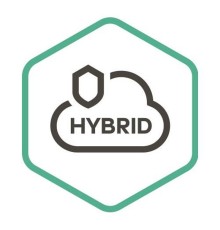 KL4255RAPDS Kaspersky Security для виртуальных и облачных сред, Server Russian Edition. 25-49 VirtualServer 2 year Base License - Лицензия