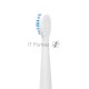 Сменные насадки к зубной электрической щетке Galaxy Line GL4990, белый, средняя жесткость щетины, 2 сменных насадки-щетки, 2 защитных колпачка