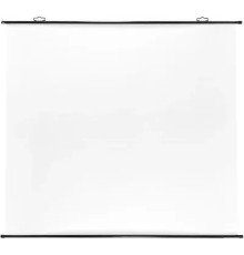 Экран Cactus 150x150см Map type CS-PSRM-150x150-BK 1:1 настенно-потолочный рулонный черный