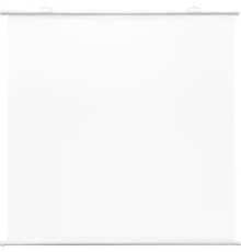 Экран Cactus 180x180см Map type CS-PSRM-180x180-WT 1:1 настенно-потолочный рулонный белый