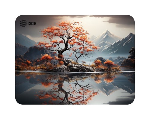 [Кактус коврики] Коврик для мыши Cactus Lake 400x300x3мм (CS-MP-PRO18XL)