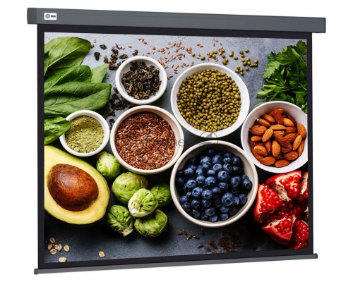 Экран Cactus 150x150см Wallscreen CS-PSW-150X150-SG 1:1 настенно-потолочный рулонный серый