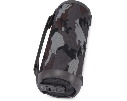 Колонка портативная Digma D-PS1520 камуфляж/камуфляж 16W 1.0 BT 10м 1500mAh (SP1520C)