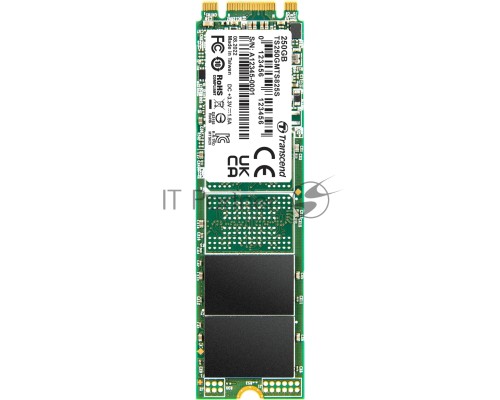 Накопитель SSD M.2 Transcend 250Gb MTS825 <TS250GMTS825S> (SATA3, up to 500/330MBs, 3D NAND, 90TBW, 22x80mm)