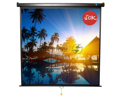 Экран Sakura 150x150см Wallscreen 1:1 настенно-потолочный рулонный белый  84' Matt White (MW), черный корпус