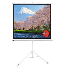 Экран Sakura 180x180см TriScreen 1:1 напольный рулонный белый  100' Matt White (MW), серый корпус