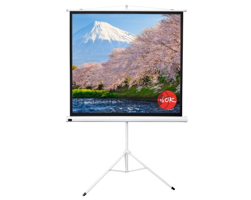 Экран Sakura 180x180см TriScreen 1:1 напольный рулонный белый  100' Matt White (MW), серый корпус