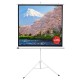 Экран Sakura 180x180см TriScreen 1:1 напольный рулонный белый  100' Matt White (MW), серый корпус