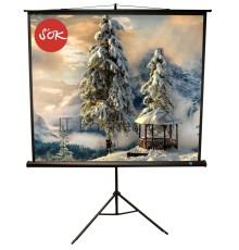 Экран Sakura 200x200см TriScreen 1:1 напольный рулонный белый  111' Matt White (MW), черный корпус
