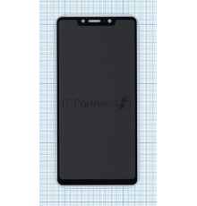 Защитное стекло Privacy 