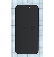 Защитное стекло Privacy 