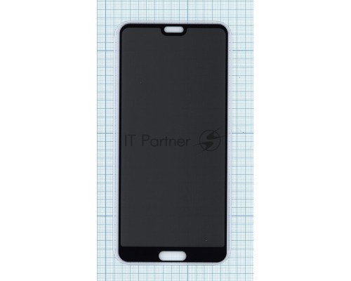 Защитное стекло Privacy 