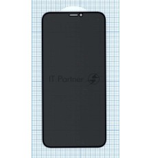 Защитное стекло Privacy 