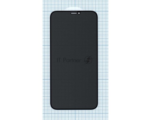 Защитное стекло Privacy 