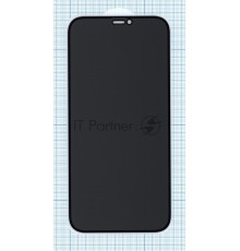 Защитное стекло Privacy 