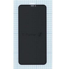 Защитное стекло Privacy 