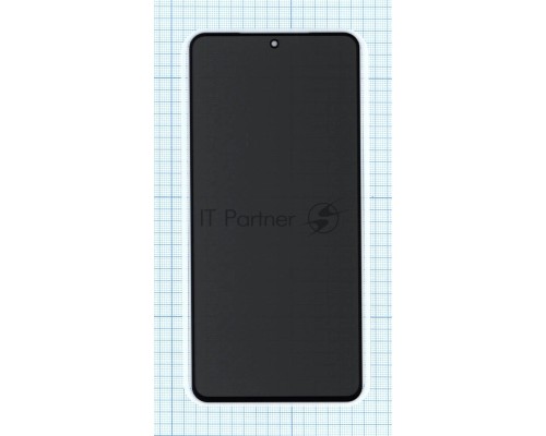 Защитное стекло Privacy 