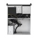 Серверный корпус ExeGate Pro EX293337RUS 2U550-06/2U2088 <RM 19