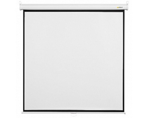 [Экран] Digis Optimal-B [DSOB-4301] Экран настенный (формат 4:3, 75