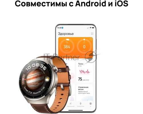 Умные часы HUAWEI 4 PRO TITAN/BROWN MDS-AL00 55020APB