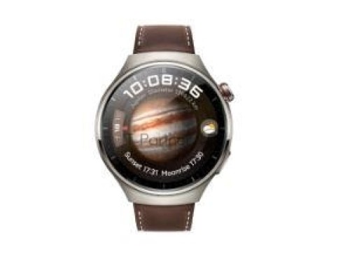 Умные часы HUAWEI 4 PRO TITAN/BROWN MDS-AL00 55020APB