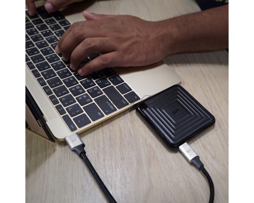 Твердотельный диск 2TB Silicon Power PC60, External, USB 3.2 Type-C [R/W - 540/500 MB/s] черный