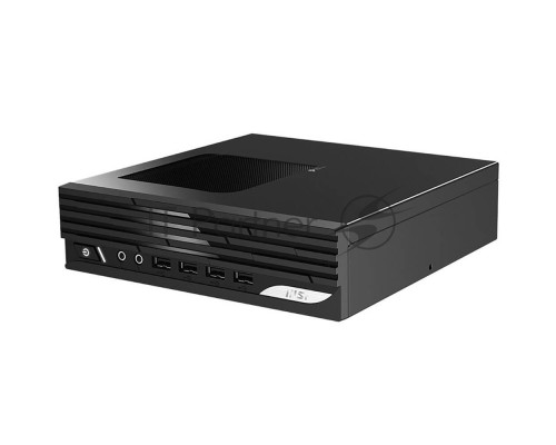 Неттоп MSI Pro DP21 13M-664RU i5 13400 (2.5) 16Gb SSD512Gb UHDG 730 Windows 11 Professional GbitEth WiFi BT 120W черный (9S6-B0A421-664)