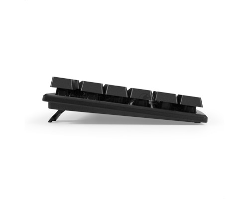 Комплект ExeGate Professional Standard Combo MK110 (клавиатура влагозащищенная 104кл. + мышь оптическая 1000dpi, 3 кнопки и колесо прокрутки, длина кабелей 1,5м; USB, черный, Color Box)