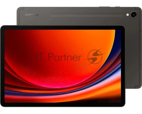 Планшет Samsung Galaxy Tab S9 SM-X716B 11