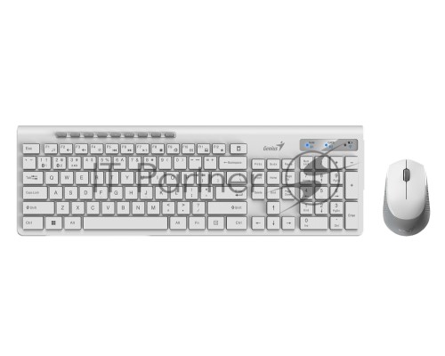 Комплект беспроводной Genius Smart KM-8230 WHITE, клавиатура+мышь, USB, 1 мини-ресивер на оба устройства. Клавиатура: 104 клавиши кнопка SmartGenius, клавиши т